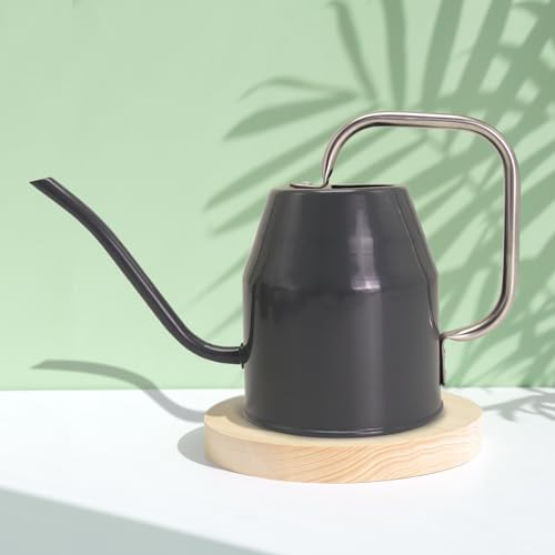 Metal Watering Can with Removable Spout (Black / 0.5 Gallon)