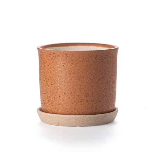 5.8 Inch Ceramic Plant Pot with Drainage Hole & Separate Saucer (Terracotta / 6 inch)
