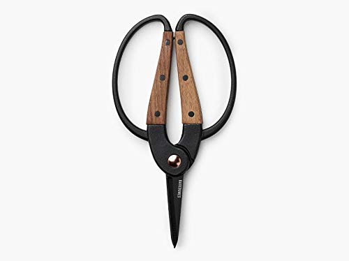 Garden Scissors (Small Garden Scissors)