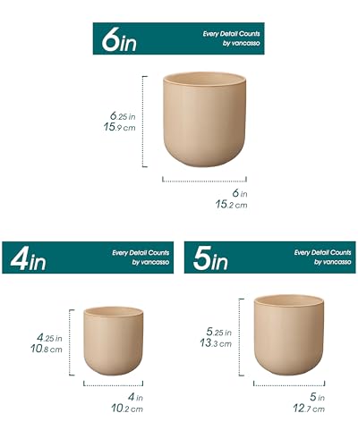 Ceramic Plant Pots (3 Count)