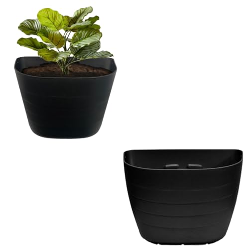 12 Inch Self Watering Wall Planter for Indoor & Outdoor Use (Black / 12 inches - WITH PLUG)