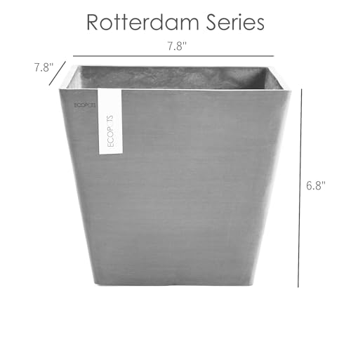 Rotterdam Square Flower Planter