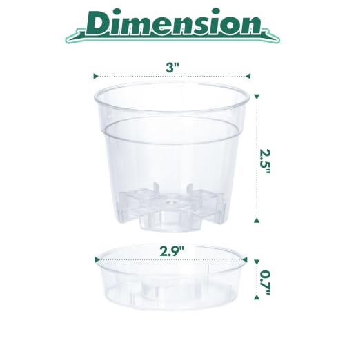 3 Inch Clear Plastic Plant Pot with Drainage Holes (3" x 2.5")