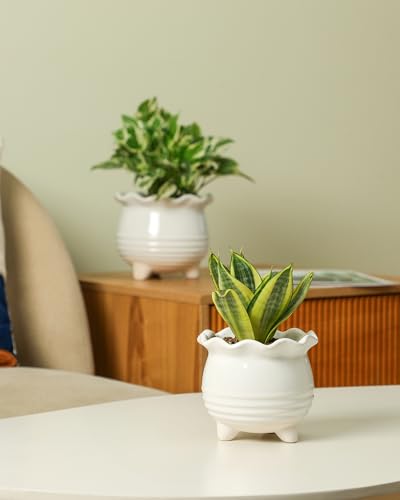 Ceramic Planter (2pcs White)