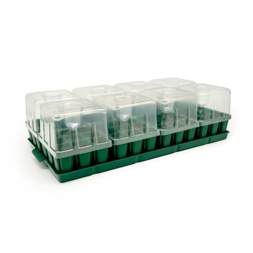 Seedling Suite Products (8 Count)