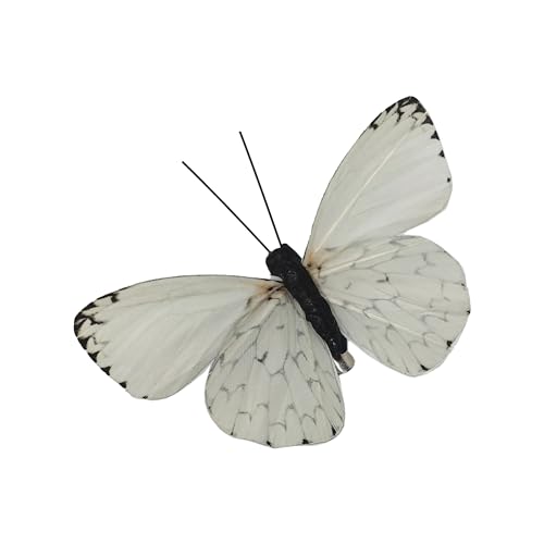 Artificial Feather 3D Butterfly Party Decorations Set of 12 with Clip 6 Color Ornaments for Christmas Tree (D Clip)