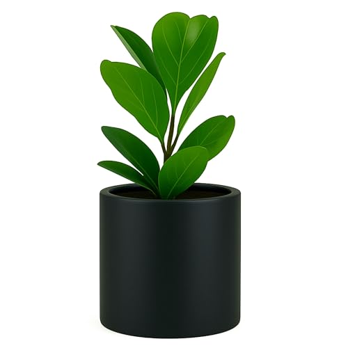 Large Planter for Indoor or Outdoor (Matte Black / 10 Inch)