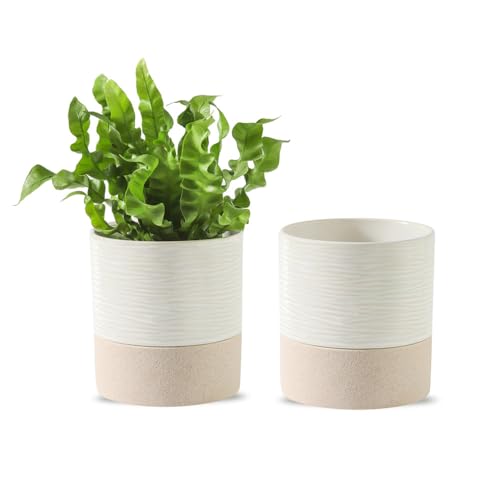 Ceramic Self Watering Plant Pot for Indoor Plants (Cream White & Brown / 4.5"+4.5" Self Watering)