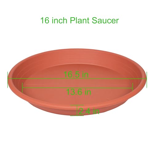2 Pack of 16 inch Plant Saucer (16" (2 pack) / Terracotta)