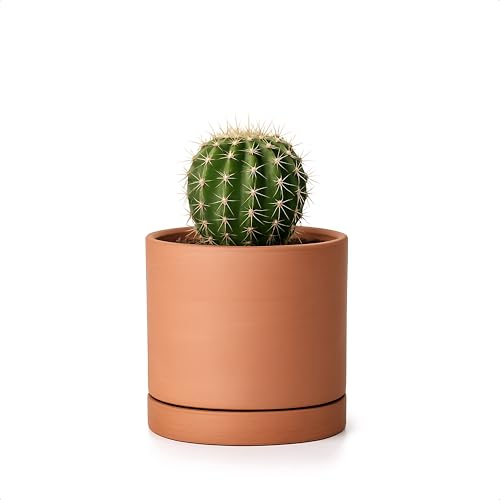 Terracotta Plant Pot with Saucer