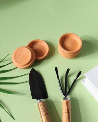 2 Inch Terracotta Plant Saucers (12 Count)