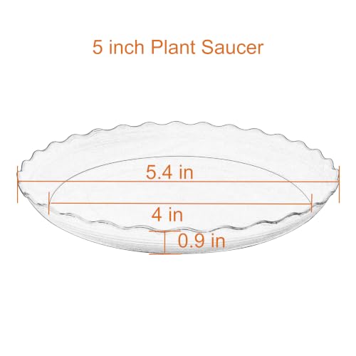 6 Pack Plant Saucer 5 inch (5" (6 pack) / White)