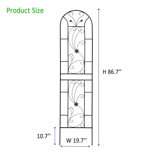 Garden Trellises