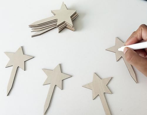 100 Pcs Wood Plant Labels (Star)