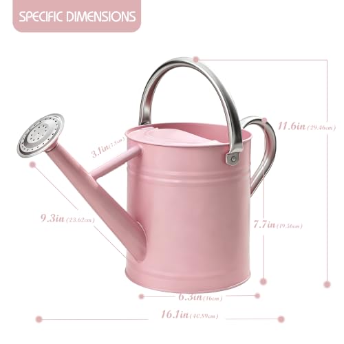 Metal Watering Can for Outdoor Plants (Pink1)