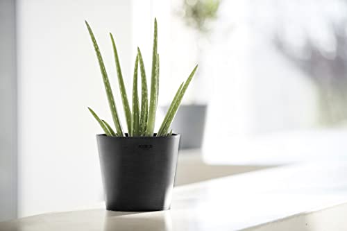 Amsterdam Mini Round Flower Planter (Dark Grey / 7 Inches)
