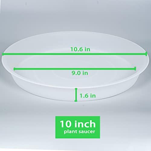 2 Pack of 10 inch Plant Saucer Gray (10" (2 pack) / Clear)