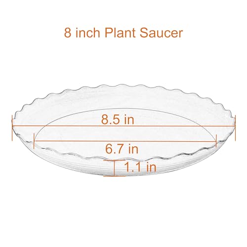 6 Pack Plant Saucer 8 inch (8" (6 pack) / Beige)
