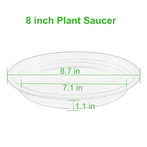 6 Pack Plant Saucer 8 inch (8" (6 pack) / Terracotta)