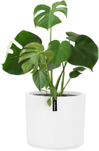 Large Planter for Indoor or Outdoor (White / 10 Inch)
