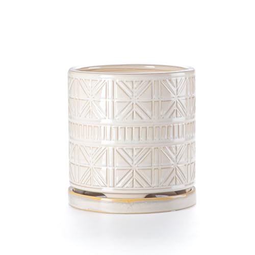 Ceramic Plant Pots Indoor (6 inch / White1)