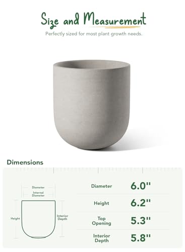6 Inch Ceramic Plant Pot (Neutral Gray / 6 Inch)