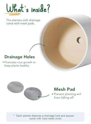 Ceramic Plant Pots (2 Count)