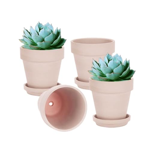 6 Inch Pink Terracotta & Clay Pots with Saucer (4 Count)