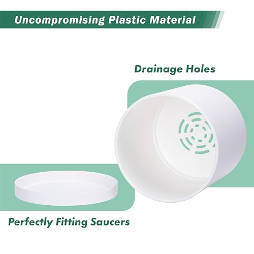 2 Pack White Plastic Planters with Saucers (8")