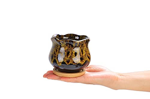 Cute Ceramic Succulent Garden Pots (Fambe)