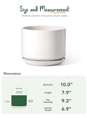 10 inch Plant Pot (White / 10")