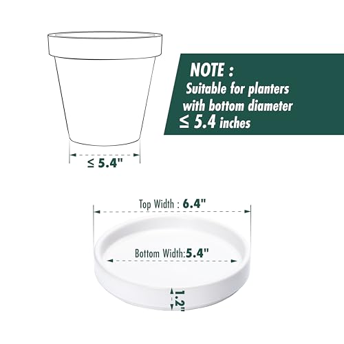 Ceramic Plant Saucer
