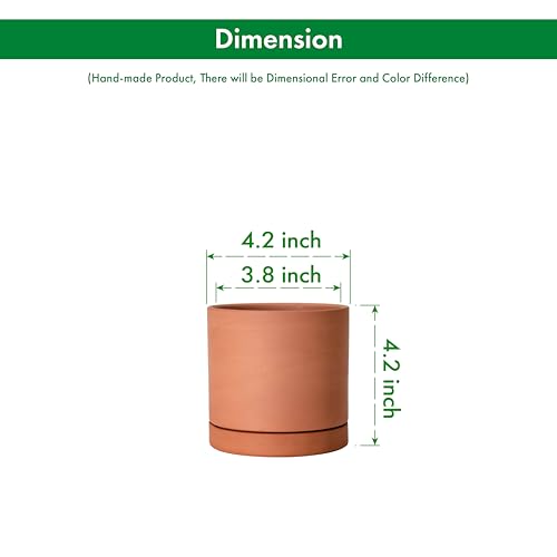 Terracotta Plant Pot with Saucer