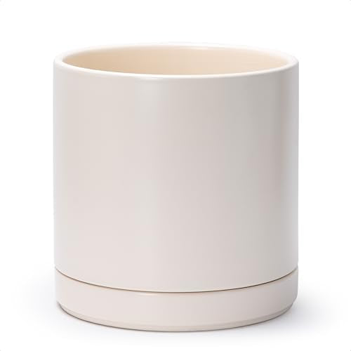 10 Inch Ceramic Planter Pot