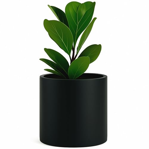 Large Planter for Indoor or Outdoor (Matte Black / 12 Inch)