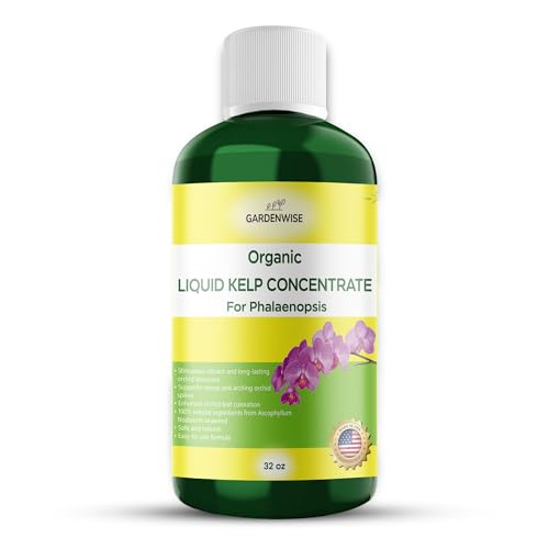 Organic Premium Kelp Seaweed Concentrate (32 Fl Oz)