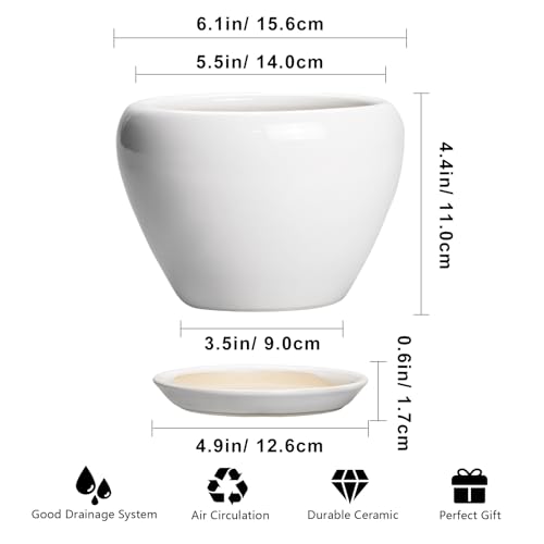 Ceramic Pot for Plants (6 Inch / Glossy White)