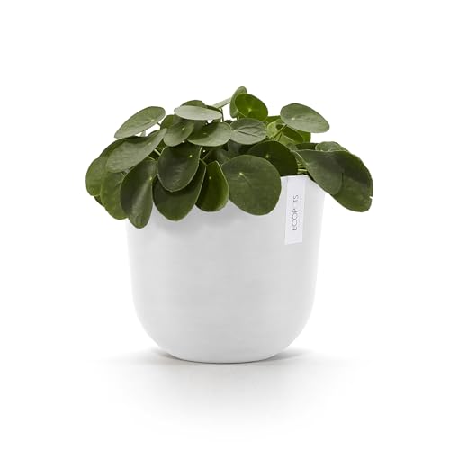 Oslo Round Flower Planter (Pure White / 10")
