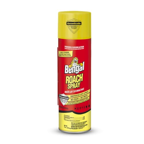Roach Spray Dry Aerosol Indoor Roach Killer (9 Ounce)