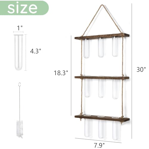 Plant Propagation Station (Small / Brown)