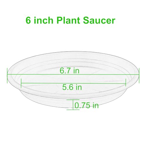 6 Pack of 6 inch Plant Saucer (6" (6 pack) / White)