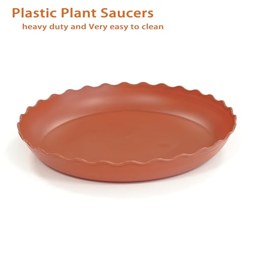 2 Pack of 12 inch Plant Saucer Plant Tray (12" (2 pack) / Terracotta)