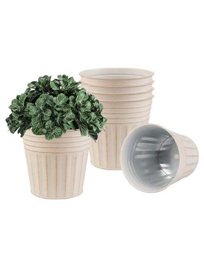 5 Inch Galvanized Bucket Planters (Beige / 5 inch)