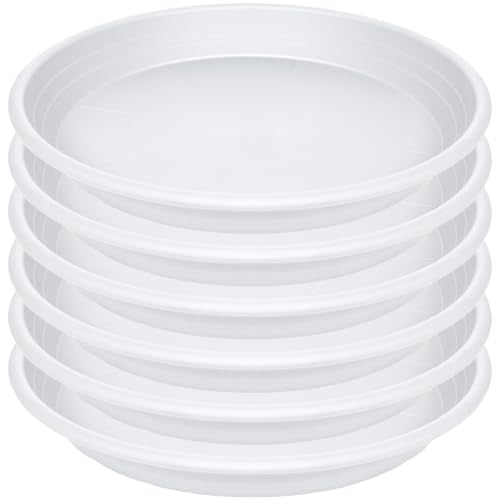 6 Pack of 6 inch Plant Saucer (6" (6 pack) / White)