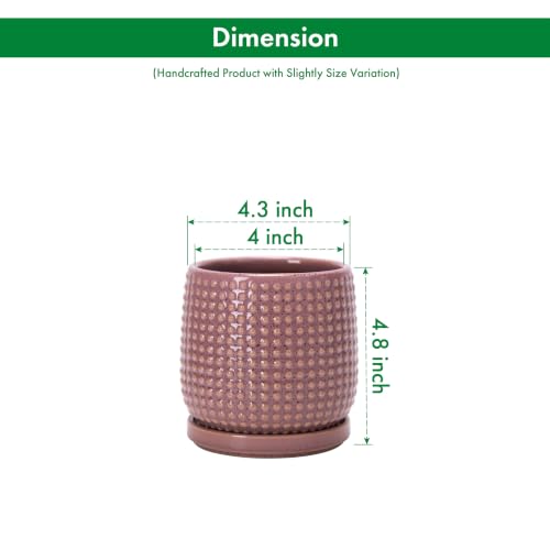 Beaded Ceramic Pot with Saucer (4.3 Inch / Blush Mauve)