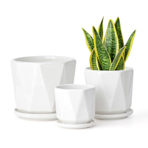 White Ceramic Planter Set of 3 with Drainage and Saucer (Pure White)