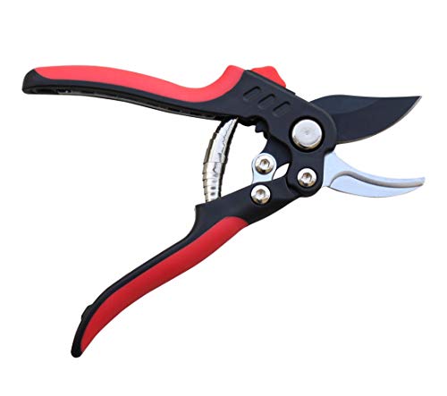 S851A Bypass Pruning Shears with Compound Action (S851A Bypass Pruner with Compound Action)