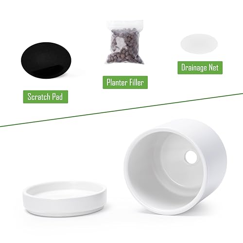 2 Pack Ceramic Pots & Saucers (2 Count)