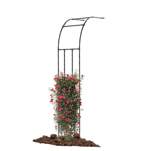 Half Side Garden Arch Trellis