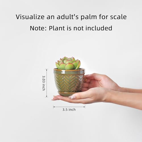 Sureasy Succulent Pots (Green / 3.5 inch)